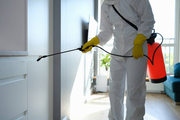Best Residential Mold Remediation in South Bend, WA